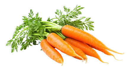 Fresh, vibrant carrots with green tops, perfect for healthy cooking and vibrant salads, showcasing natural colors and textures.