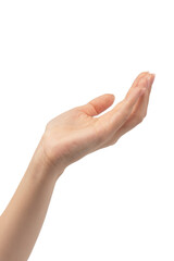 Woman hands with nude manicure isolated on a white background.