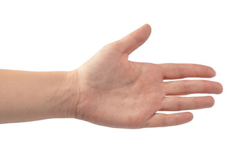 Woman hands with nude manicure isolated on a white background.