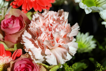 Coloured flowers together make a bouquet