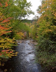 rapids in the Diable river near the Croches waterfall in an Autumn landscape, Mont-Tremblant National Park Laurentian Mountains, Quebec Canada