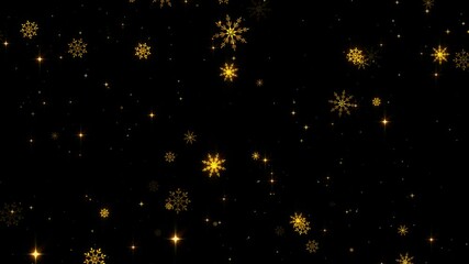 golden snow flakes and shiny glitter stars falling on dark background , ,winter ,new year and merry Christmas isolated overlay pattern motion design element