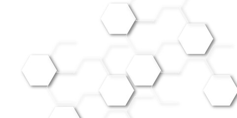 Luxury white and grey hexagonal abstract background with shadow. Geometric 3d texture illustration. Abstract hexagonal concept technology, banner and wallpaper background.
