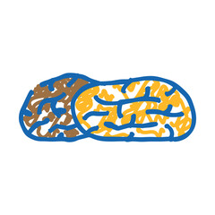 dates dried fruit doodle icon sketch vector. dates dried fruit sign. isolated symbol illustration