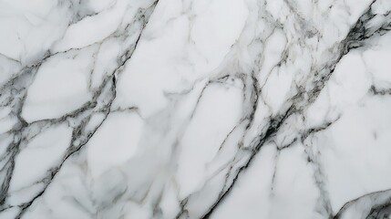 A marble tile showcasing intricate gray veins running through pristine white stone. This elegant design adds a touch of sophistication and natural beauty to any space
