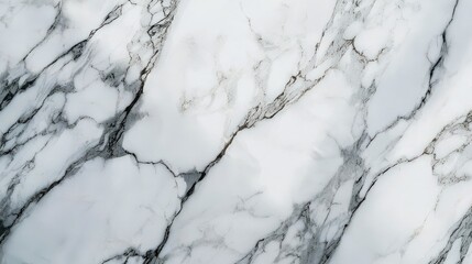 A marble tile showcasing intricate gray veins running through pristine white stone. This elegant design adds a touch of sophistication and natural beauty to any space