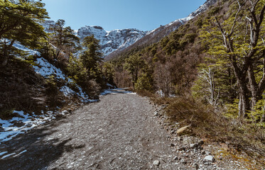 Path through a park, San Carlos de Bariloche, Argentina