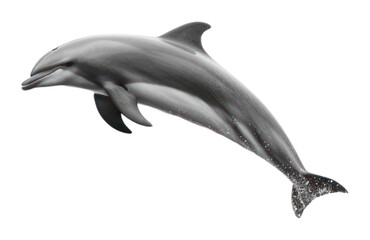 Fototapeta premium PNG Dolphins jumping animal mammal.