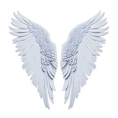 angel wings