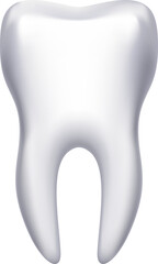 Tooth icon. Realistic white molar. Dental care