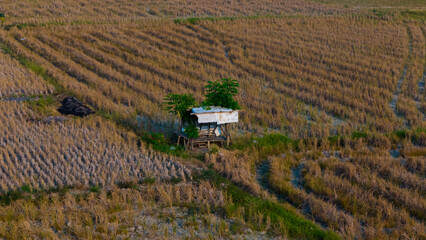 An aerial view captures the serene solitude of a lone hut amidst the golden hues of a harvested field at duskn