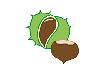 Castañas con vaina verde con pinchos en fondo blanco