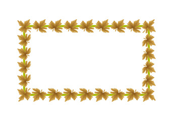 Marco de hojas secas de árbol marrón