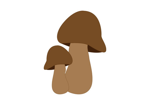 Dos setas marrones de oto&ntilde;o en fondo blanco