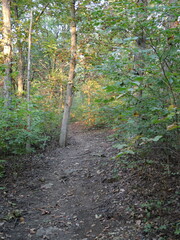 Dirt Walking Trails at Hillsdale Lake Public Park