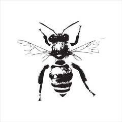 insect, animal, cartoon, fly, isolated, bug, vector, Bee Vector illustration  ,illustration, nature, white, macro, bee, black, beetle, spider, pest, wildlife, tattoo, wasp, cute, drawing, ant, wing, f