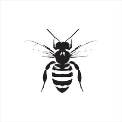 insect, animal, cartoon, fly, isolated, bug, vector, Bee Vector illustration  ,illustration, nature, white, macro, bee, black, beetle, spider, pest, wildlife, tattoo, wasp, cute, drawing, ant, wing, 