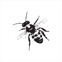 insect, animal, cartoon, fly, isolated, bug, vector, Bee Vector illustration  ,illustration, nature, white, macro, bee, black, beetle, spider, pest, wildlife, tattoo, wasp, cute, drawing, ant, wing, f