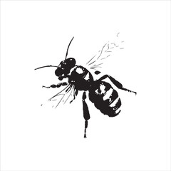 insect, animal, cartoon, fly, isolated, bug, vector, Bee Vector illustration  ,illustration, nature, white, macro, bee, black, beetle, spider, pest, wildlife, tattoo, wasp, cute, drawing, ant, wing, f