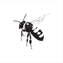 insect, animal, cartoon, fly, isolated, bug, vector, Bee Vector illustration  ,illustration, nature, white, macro, bee, black, beetle, spider, pest, wildlife, tattoo, wasp, cute, drawing, ant, wing, f