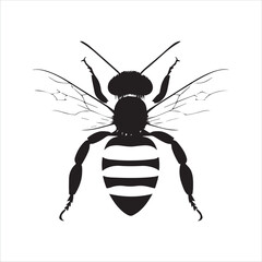 insect, animal, cartoon, fly, isolated, bug, vector, Bee Vector illustration  ,illustration, nature, white, macro, bee, black, beetle, spider, pest, wildlife, tattoo, wasp, cute, drawing, ant, wing, f