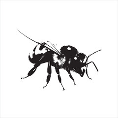 insect, animal, cartoon, fly, isolated, bug, vector, Bee Vector illustration  ,illustration, nature, white, macro, bee, black, beetle, spider, pest, wildlife, tattoo, wasp, cute, drawing, ant, wing, f