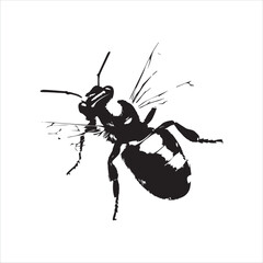 insect, animal, cartoon, fly, isolated, bug, vector, Bee Vector illustration  ,illustration, nature, white, macro, bee, black, beetle, spider, pest, wildlife, tattoo, wasp, cute, drawing, ant, wing, f