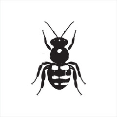 insect, animal, cartoon, fly, isolated, bug, vector, Bee Vector illustration  ,illustration, nature, white, macro, bee, black, beetle, spider, pest, wildlife, tattoo, wasp, cute, drawing, ant, wing, f
