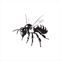 insect, animal, cartoon, fly, isolated, bug, vector, Bee Vector illustration  ,illustration, nature, white, macro, bee, black, beetle, spider, pest, wildlife, tattoo, wasp, cute, drawing, ant, wing, f