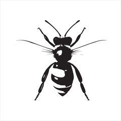 insect, animal, cartoon, fly, isolated, bug, vector, Bee Vector illustration  ,illustration, nature, white, macro, bee, black, beetle, spider, pest, wildlife, tattoo, wasp, cute, drawing, ant, wing, f