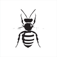 insect, animal, cartoon, fly, isolated, bug, vector, Bee Vector illustration  ,illustration, nature, white, macro, bee, black, beetle, spider, pest, wildlife, tattoo, wasp, cute, drawing, ant, wing, f