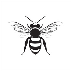 insect, animal, cartoon, fly, isolated, bug, vector, Bee Vector illustration  ,illustration, nature, white, macro, bee, black, beetle, spider, pest, wildlife, tattoo, wasp, cute, drawing, ant, wing, f