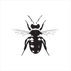 insect, animal, cartoon, fly, isolated, bug, vector, Bee Vector illustration  ,illustration, nature, white, macro, bee, black, beetle, spider, pest, wildlife, tattoo, wasp, cute, drawing, ant, wing, f