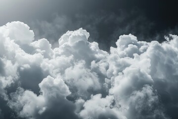 Fototapeta premium A commercial airliner soaring through a layer of clouds
