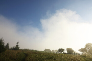 Beautiful view of houses and trees covered with fog in morning