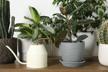 Watering can and beautiful houseplants on wooden table indoors