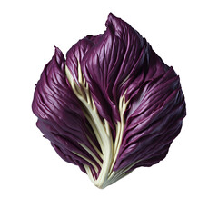 Fototapeta premium radish