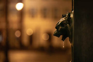 Wodopój na Starym Rynku w Poznaniu © Magdalena