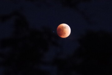 Lunar eclipse