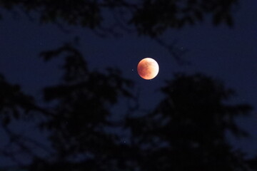Lunar eclipse