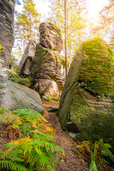 Fototapete bei efototapeten.de bestellen   