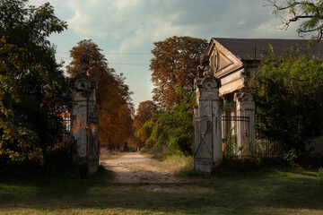 Piękna jesienna aleja na wsi w Polsce.  © Magdalena