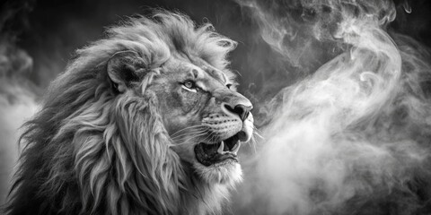 Lion in Smoke, Monochrome, Black and White, Animal, Wildlife, Nature