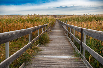 Marsh boardwalk in Buffalo Pound Provincial Park