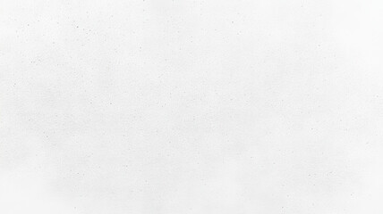Fototapeta premium Textured White and Gray Minimalist Background