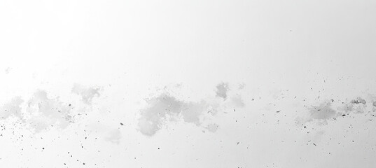 Fototapeta premium Minimalist White and Gray Design