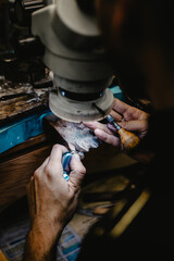 Jeweler Cleaning a Ring