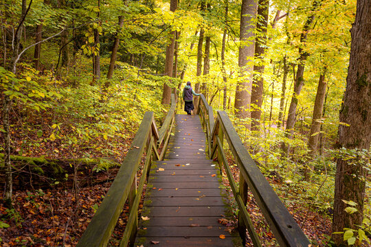 Woman hiking down steps of wooden footbridge through forest with autumn leaves