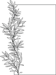 Naklejka premium Olive rectangular, square vertical Frame. Hand drawn Olive Branches and Fruits. Hand drawn vector illustration For Logos, Wedding Invitations, Save the date and greeting cards.