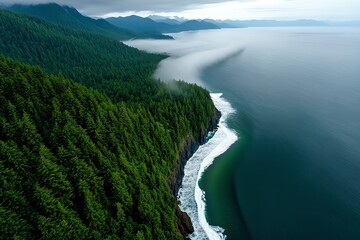 A forested coastline, where dense trees meet the ocean, with mist rising from the waves as they crash against the rocks, blending nature and ocean elements.